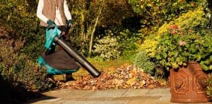 Meilleur aspirateur souffleur de feuille