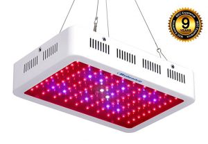lampe horticole 300 watts