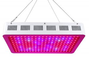lampe horticole 600 watts