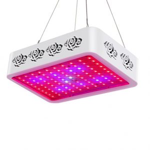 lampe horticole pour semis