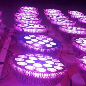 spot-led-horticole spot led horticole