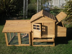 Petit Poulailler : Comparatif des poulaillers pour 2 poules