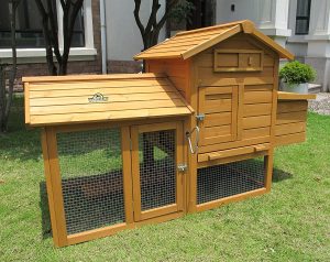 Petit Poulailler : Comparatif des poulaillers pour 2 poules 