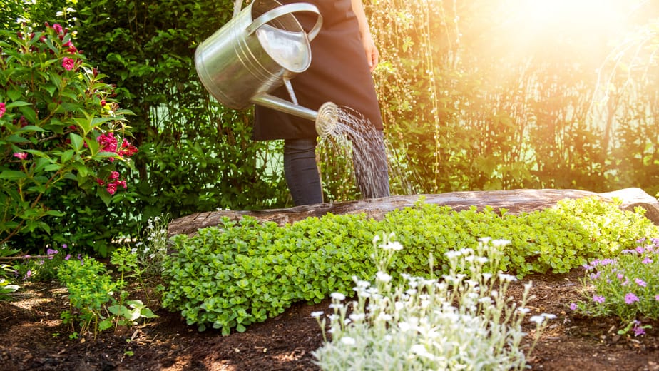 Arroseur de jardin, système d'irrigation d'arrosage automatique de jardin,  grande surface couvrant 360 arroseur rotatif pour pelouse, jardin