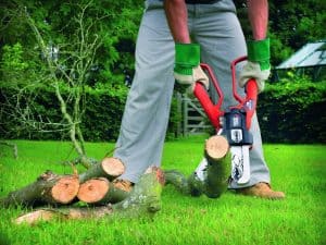 coupe-branche coupe branche bosch