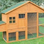 Grand Poulailler Xl 1215 Poules Bois Solide Livré En Kit