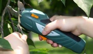 secateur-electrique-sans-fil sécateur électrique sans fil