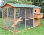 Meilleur poulailler XXL - 10 - 12 poules