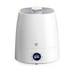 humidificateur à vapeur chaude par évaporation
