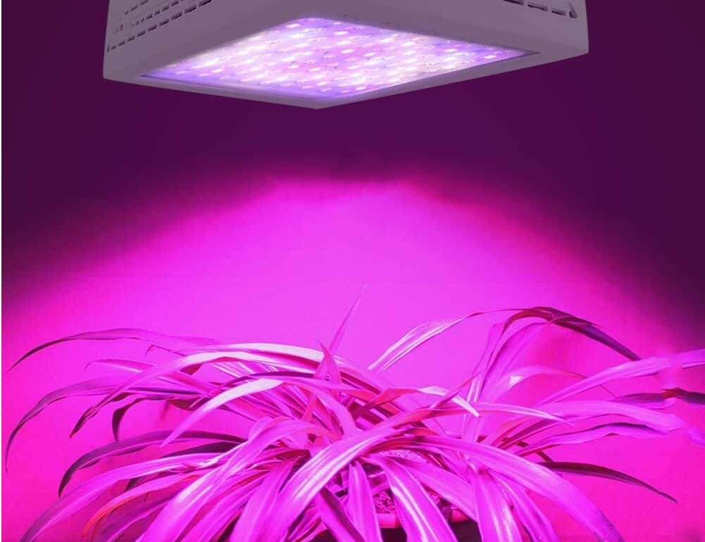 FRGROW Lampe Horticole LED, Lampe De Croissance Pour Plantes D