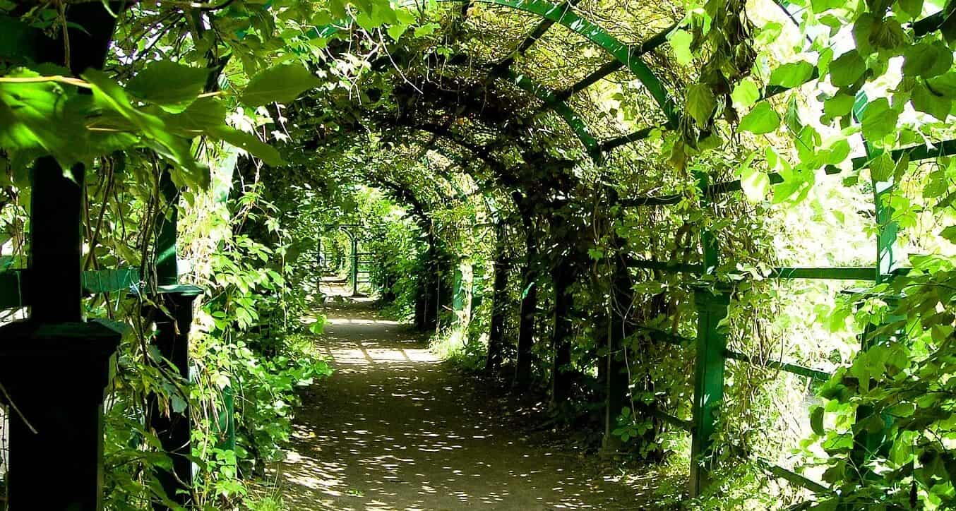 protéger de la chaleur dans son jardin