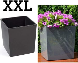 pot de fleur xxl