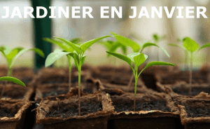 Jardiner en janvier