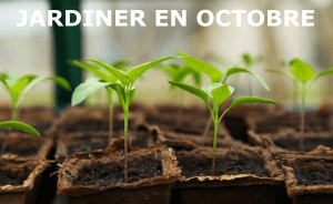 Jardiner en octobre