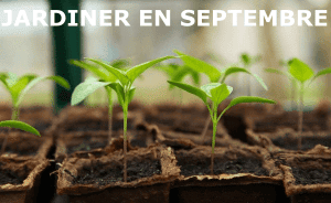 Jardiner en septembre