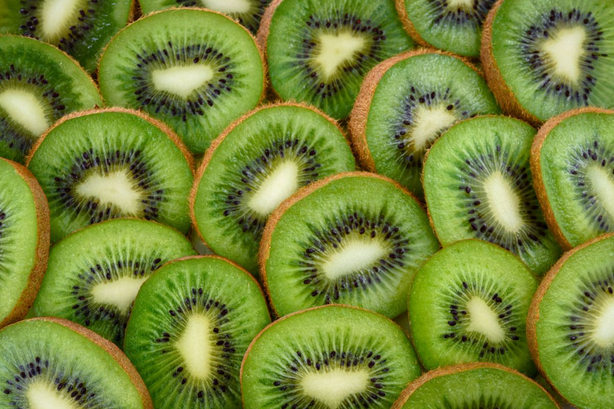 Comment et quand planter des kiwis