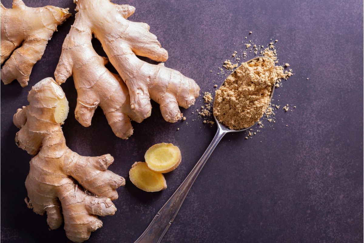 Comment cultiver du gingembre et pourquoi cela vaut la peine de s