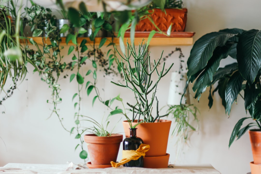 découvrez l'univers décoratif avec nos conseils et inspirations pour embellir votre intérieur. transformez chaque espace en un lieu unique et chaleureux grâce à des astuces créatives et des idées tendance.